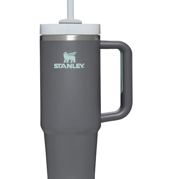 Stanley Other - Stanley Quencher H2.0 FlowState Stainless Steel Vacuum Insulated Tumbler 30 oz